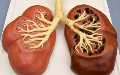 Lung disease symptoms can be reduced by PEMF