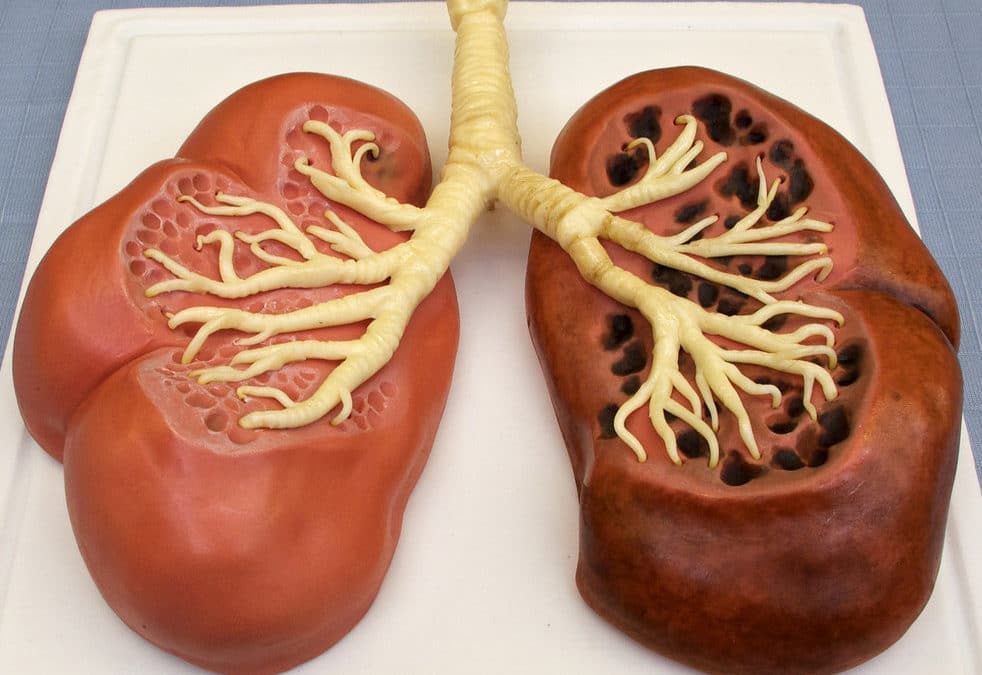 Lung disease symptoms can be reduced by PEMF